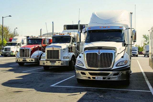 Transporte Pesado se va a Paro por nuevo horario de circulación. 