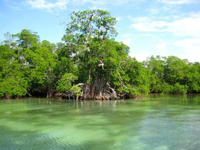 Sector turismo llama a valorar, cuidadar y conservar recursos naturales