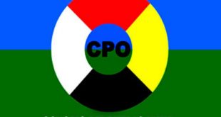 Consejo del Pueblo Maya (CPO)